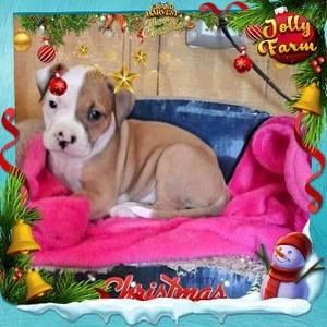 Meet your Posher, Sonja